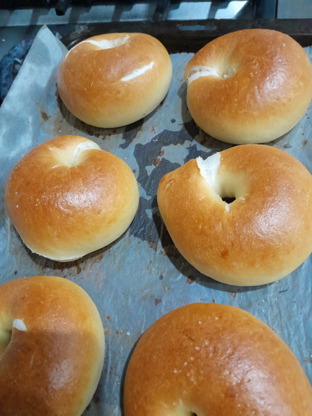 New bagel (5 pcs min. Order) - Plain bagel